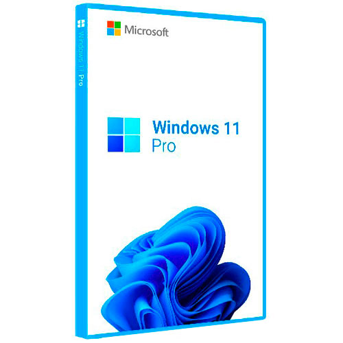 Microsoft Windows 11 Pro